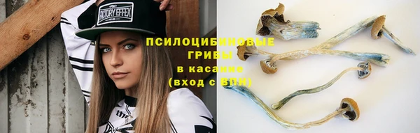 PSILOCYBIN Белокуриха